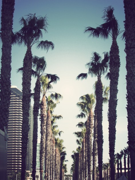 SanDiegoSpringBreak1