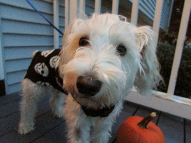 October Glossybox & Halloween 008