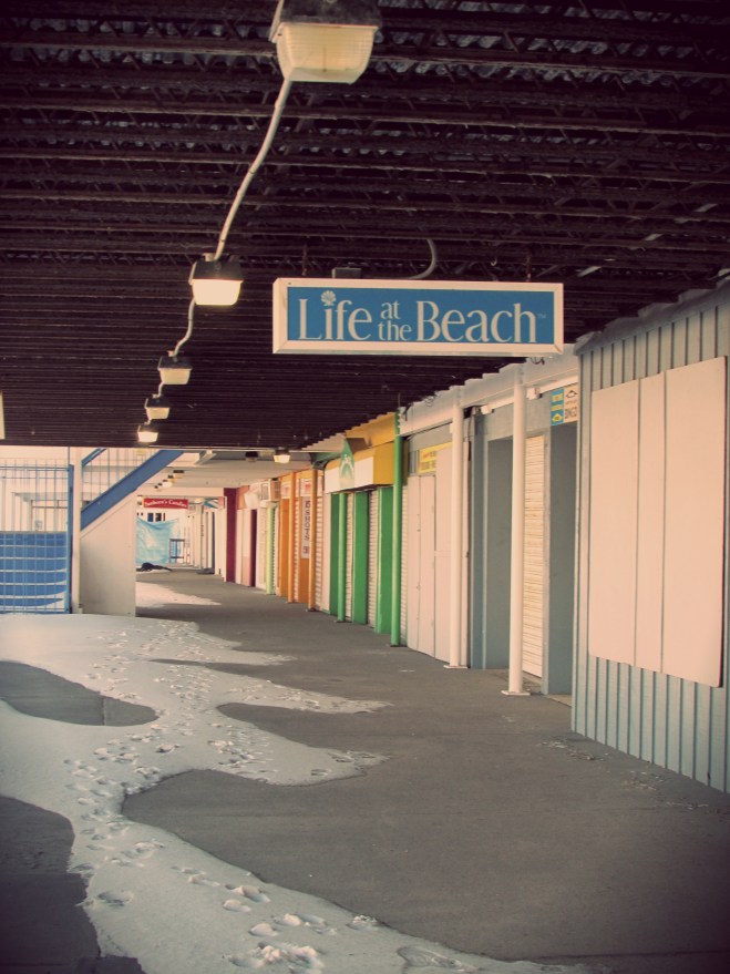 FebruaryInHampton20141