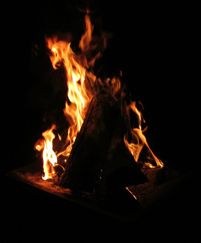 BackyardBBQJuly20153