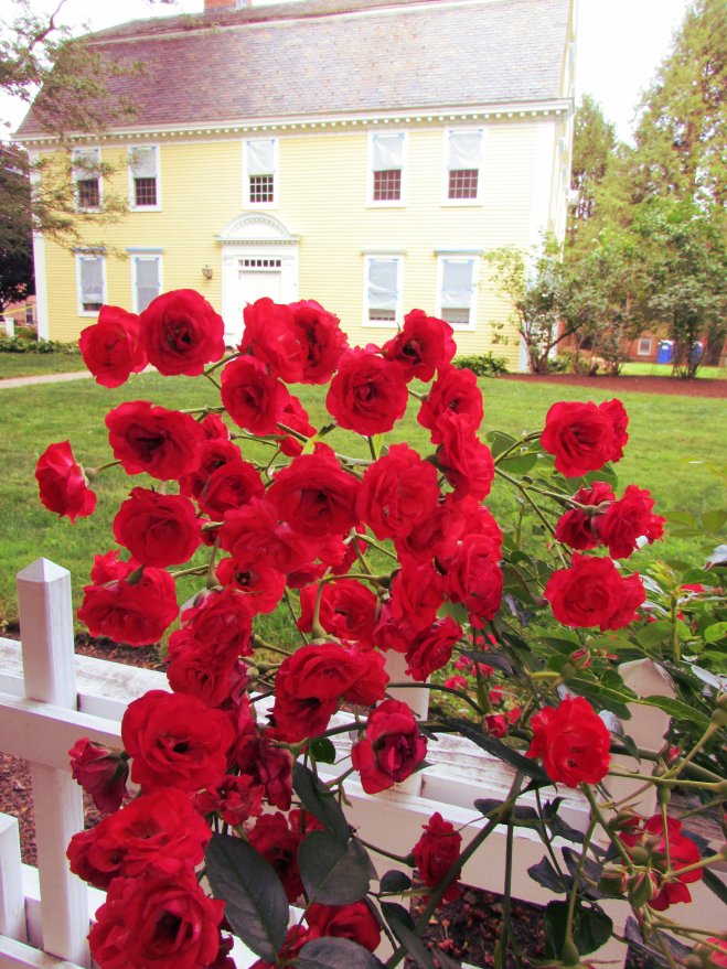 Deerfield, Mass. July 2015.