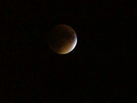 The blood moon eclipse- viewed from my backyard!