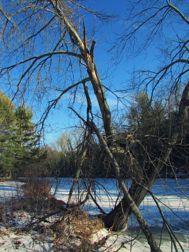Post-snowstorm hike! 1/24/16