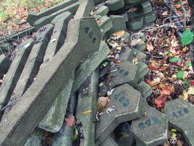 danvershospitalcemetery02