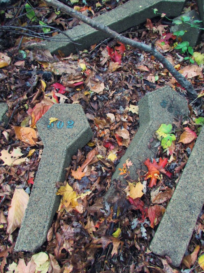 danvershospitalcemetery03