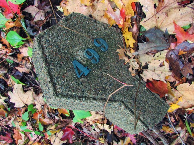 danvershospitalcemetery04