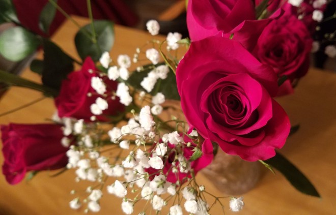 Valentine's Day, 2017.